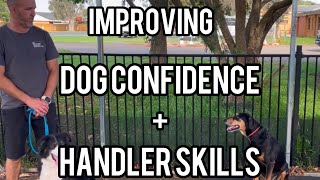 Helping a fearful dog and improving the owners handling skills￼