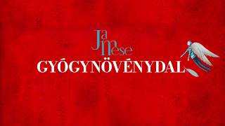 JaMese: Gyógynövénydal feat Dalinda - lyrics videó