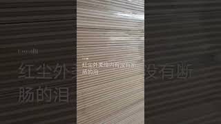 White Birch Commercial Plywood, E0/CARB/P2/EPA  CARB Certification EPA TSCA Title VI CHINA VIETNAM