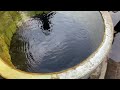 hotwater springs උණුදිය උල්පත් මහඔය mahaoya