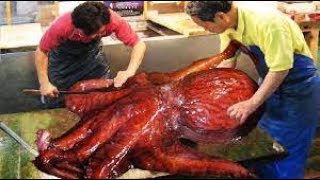 Incredible Giant Octopus Fishing   How Japan Chef Cutting Giant Octopus And Octopus Processing