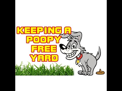 How To Keep Your Yard; Dog Poop Free! How To Keep Your Yard; Dog Poop Free!