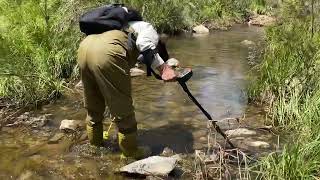 Gold search in Wisemans Creek, Oberon