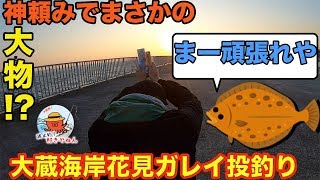 【大蔵海岸】投釣り神頼みでまさかの...【カレイ】