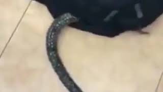 Mxtube Net Mizo Tiktok Viral Xxx Mp4 3gp Video Mp3 Download