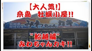 【大人気！】福岡！糸島！牡蠣小屋！船越　みわちゃんかき！