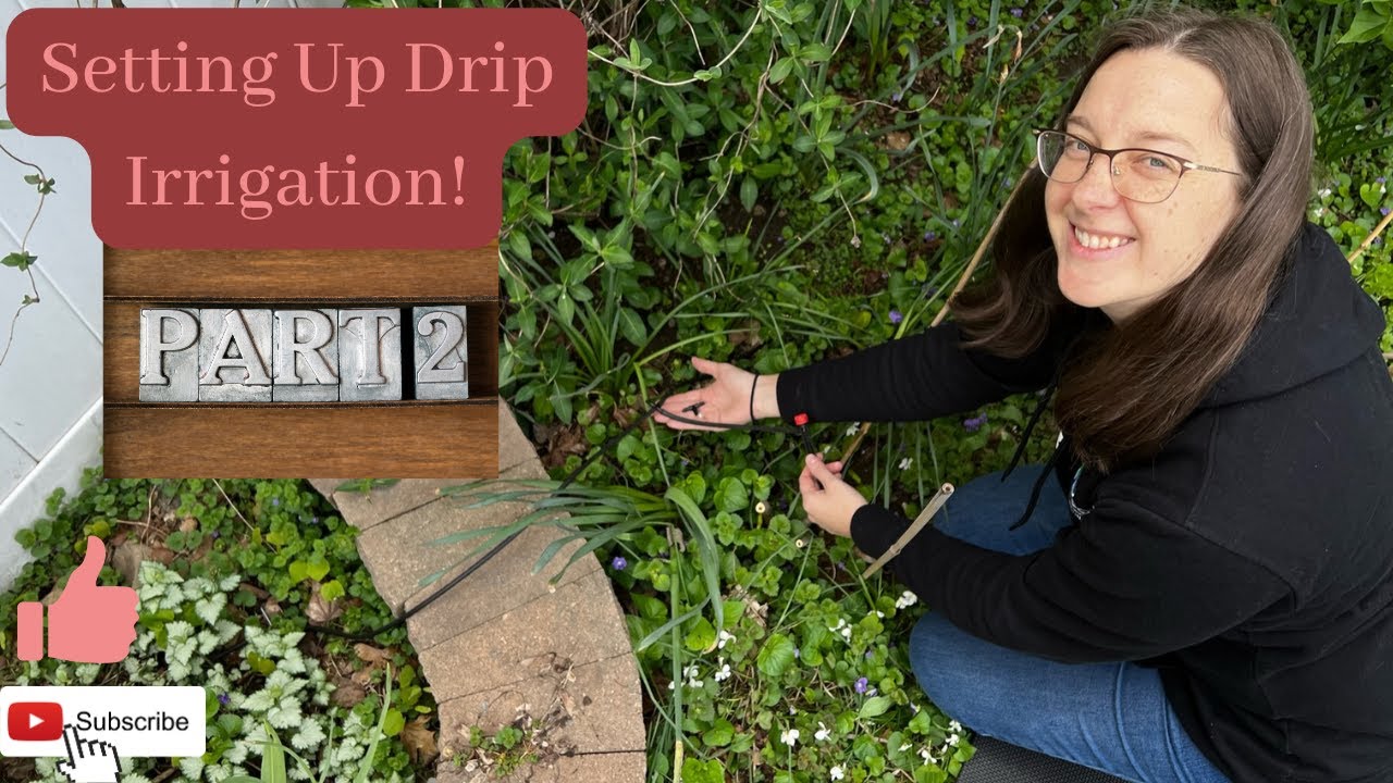 Setting Up Drip Irrigation Part 2 Youtube