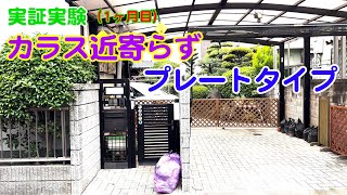 【実証動画】カラス撃退シート：カラス近寄らず（プレートタイプ）の実証動画 Vol.7　１ヶ月目