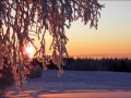 konsta jylhän joululaulu marko jolkkonen