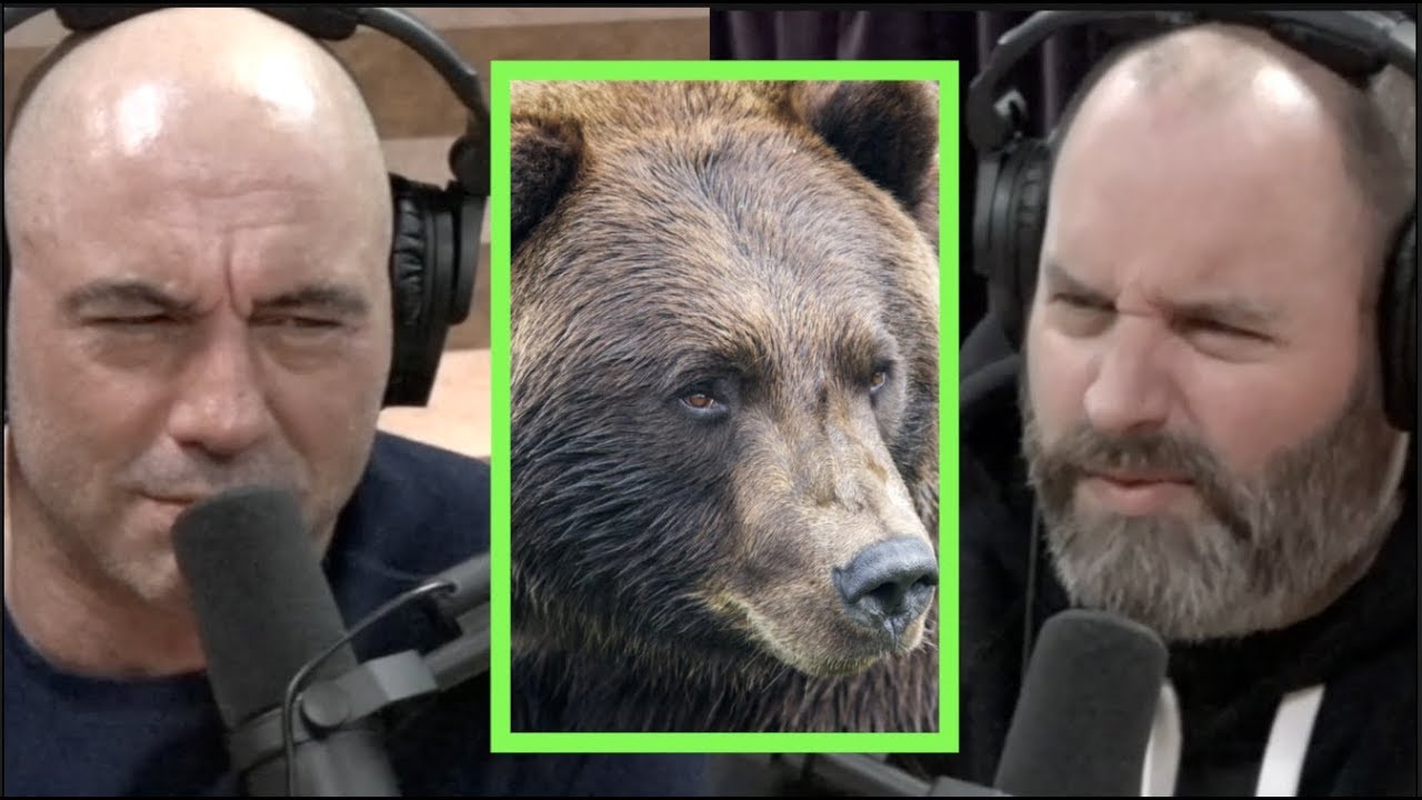 Man Had His Face Eaten Off By A Grizzly Bear W/Tom Segura | Joe Rogan ...