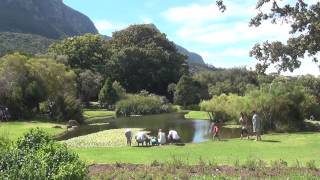 Kirstenbosch Botanical Gardens in Cape Town, South Africa