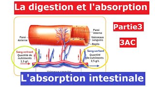 La digestion et l'absorption (Partie3) - 3AC - الهضم و الامتصاص