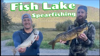 Spearfishing Fish Lake Utah! (Perch and Trout)