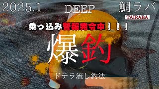 第八十七陣【マダイ乗っ込み警報発令中！！！DEEPタイラバ爆釣】新潟・光海丸