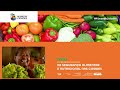 i encontro da estratégia nacional de segurança alimentar e nutricional nas cidades 15 05 2024