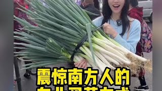 震惊南方人的东北买菜方式！#南北差异 #南北买菜差异