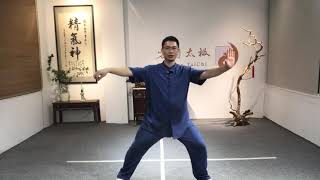 Chen TaiChi Basic Movements for Beginners Tutorial
