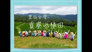 里山的貢寮水梯田