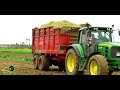 ensilage de maïs claas jaguar 695 mega 6 rangs ↓↓↓