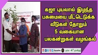 கஜா புயலால் இழந்த பசுமையை மீட்டெடுக்க வீடுகள் தோறும் 5 வகையான பலகன்றுகள் வழங்கல்