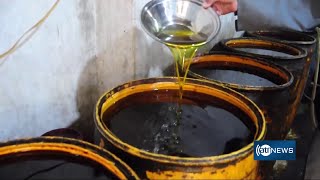 Growing Interest in locally produced oils in Kunduz|علاقه‌مندی به روغن‌های تولید داخلی در کندز