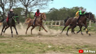 LATEST LOMBOK HORSE RACING 2023 | LOMBOK HORSE RACING