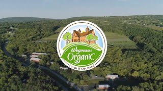 Cultivating Sustainability at the Wegmans Organic Farm
