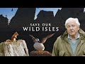 This is an urgent call to action for everyone to help #SaveOurWildIsles