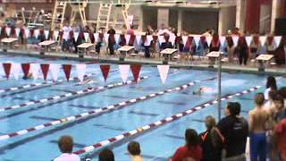 2013 OHSAA District Swimming