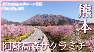 復興の道に咲く桜 阿蘇高森サクラミチ　熊本県 阿蘇市【JNN sakuraドローンDIG 2023】