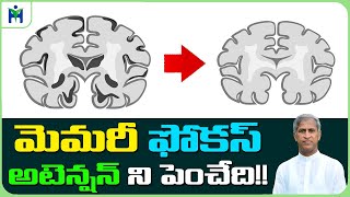 Brain Sharp | Mind Power | మీలో మెమరీ ఫోకస్! అటెన్షన్ ని పెంచేది !! | Dr Manthena Satyanarayana Raju