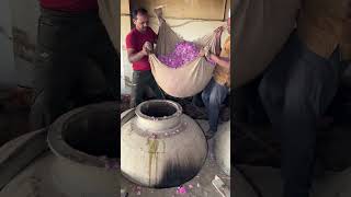 Rose Water Making in Mega Factory | ऐसे बनता है गुलाब जल आज देखलो #rosewater #attar