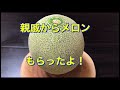 【映えスイーツ】丸ごとメロンケーキ🍈作ってみたよ❗️