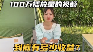 做自媒体真的赚钱吗？给大家看这个平台的后台数据，100万播放量有多少钱？【七哥和露露】