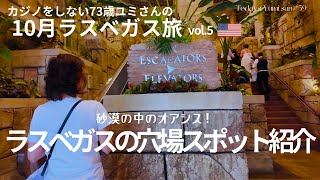 【ラスベガス】ホテルの中に水族館？沢山歩いた先に楽しい穴場スポットが！73歳・ユミさんが行く10月ラスベガス旅5