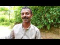 തേനീച്ച കൃഷി honey bee farming in kerala honey bee farming in idukki royal jelly honey bee