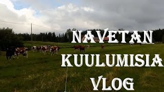 Navetan kuulumisia VLOG#1