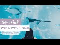 Maxell Aqua Park 🐠 | Shinagawa, Tokyo 🇯🇵 | Lara Channel