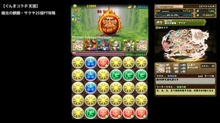 パズドラ「ぐんまコラボ 極楽」極光の麒麟・サクヤ25倍PTノーコン攻略