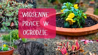 WIOSENNE PRACE W OGRODZIE. Przycinam TRAWY, BUDLEJE i byliny, obsadzam WIOSENNE DONICE.