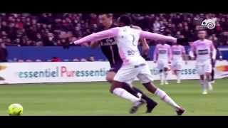 PSG 2015 - Zlatan Ibrahimoviç Skills
