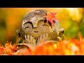 CALM Ethereal Morning Music 432Hz 💖 Wake Up With Positive Thoughts & Energy - The Road To Happiness