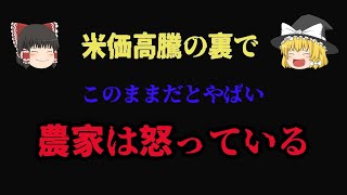 【真実】米高騰で備蓄米、その裏で農家が本当に怒っている理由とは