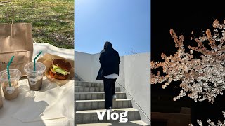 【Vlog】桜vlog,花見のしすぎ,まったりピクニック,春満喫した週末