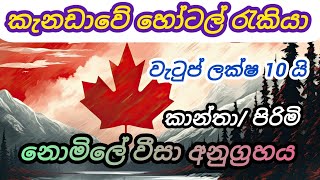 කැනඩා හෝටල් පිරිසිදු කිරීමේ රැකියා. කාන්තා/ පිරිමි. වැටුප් ලක්ෂ 10 ක් hotel cleaning foreign jobs