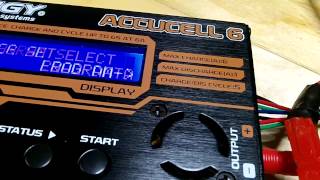 HobbyKing Turnigy* Accucell 6*