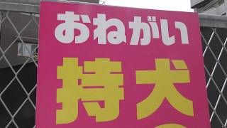 地下鉄岸里駅から南海岸里玉出駅まで歩きます！　＊2018年9月23日撮影