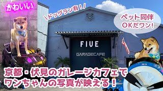 ペット同伴可能！ワンちゃん達集まれ～！伏見のガレージカフェはフォトスポット満載！嵐山の柴犬ジェームス！～Shiba inu james by kyoto～