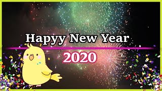 2020年 謹賀新年 令和2年 明けましておめでとうございます。