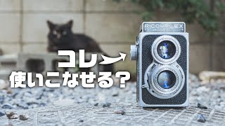 このフィルムカメラが難易度MAXの理由！！！ 第133話